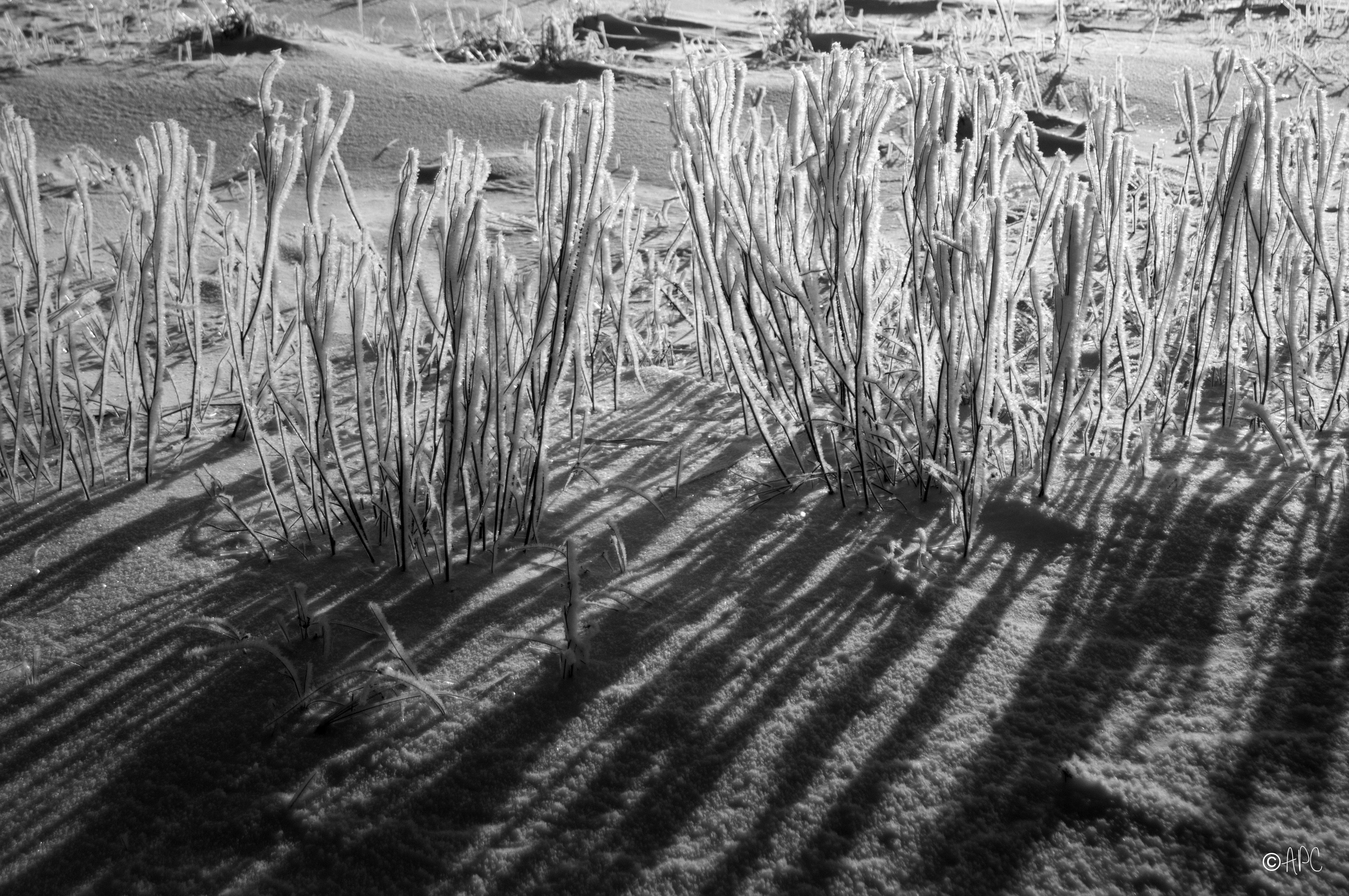 givre1_03_2019_web copie