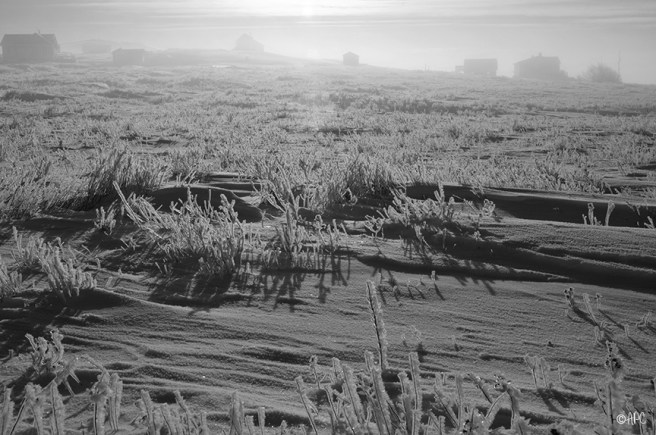 givre3_03_2019_web copie